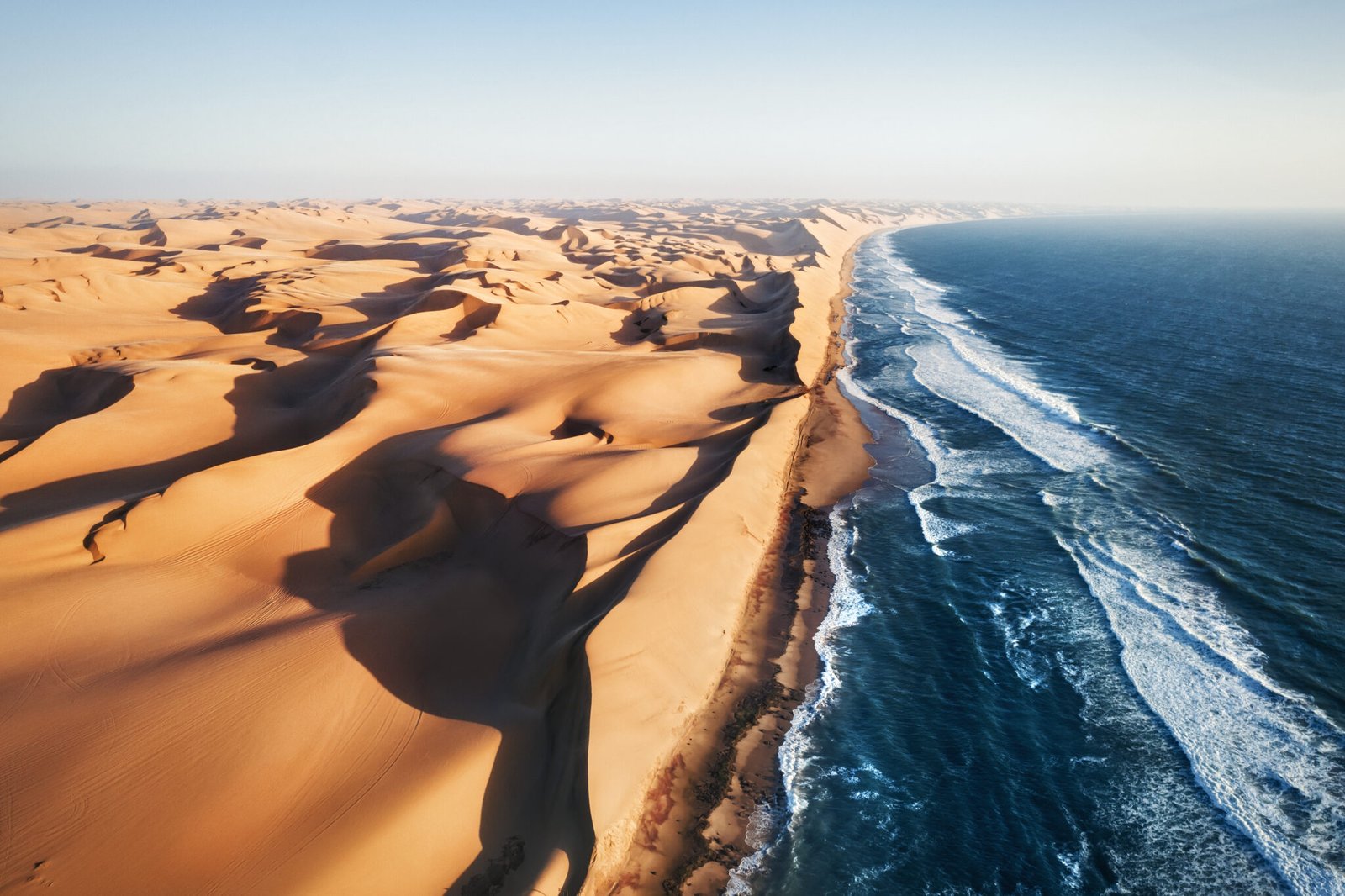 Place where Namib desert and the Atlantic ocean meets, Skeleton