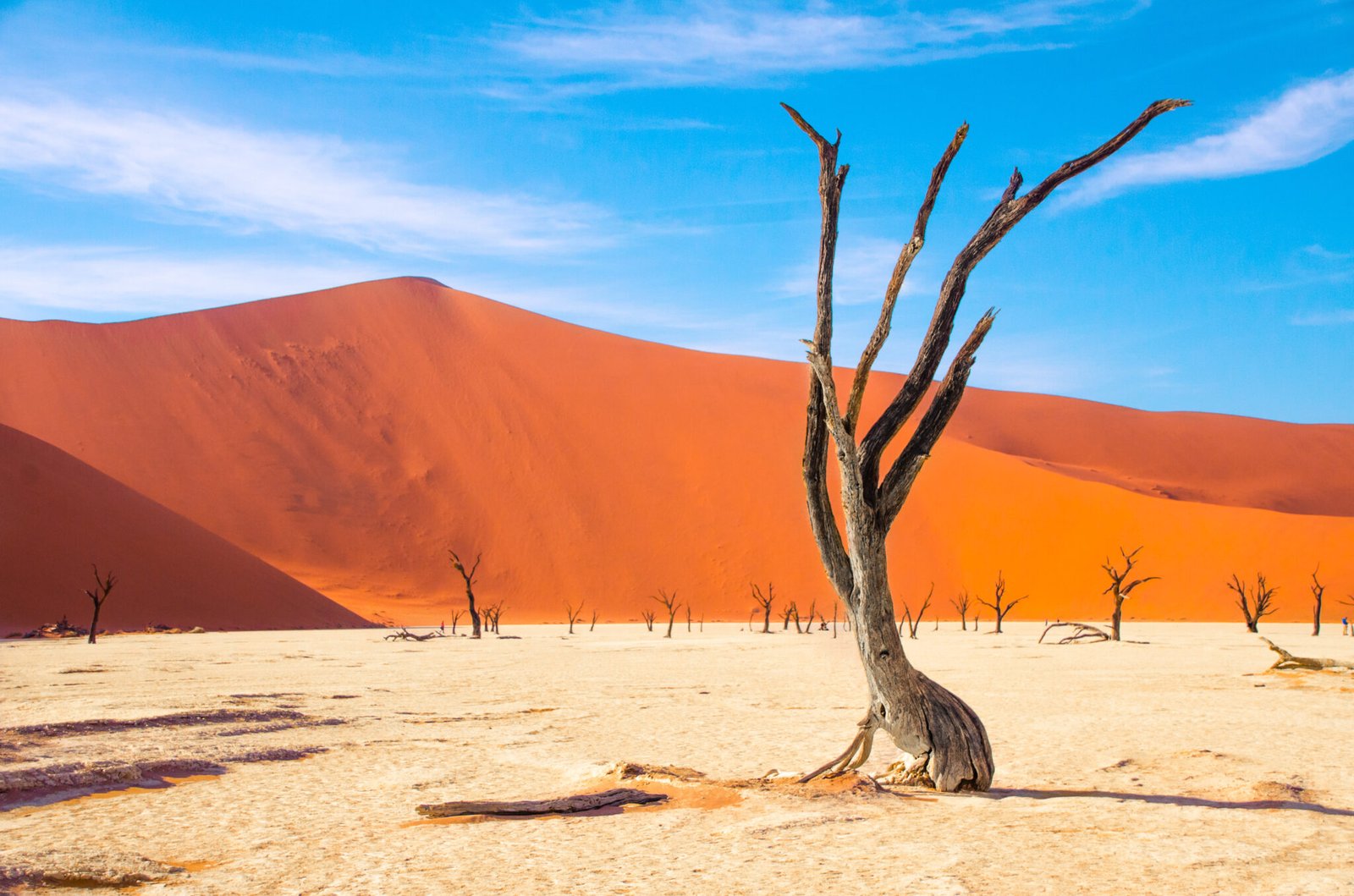 Sossusvlei, deadvlei